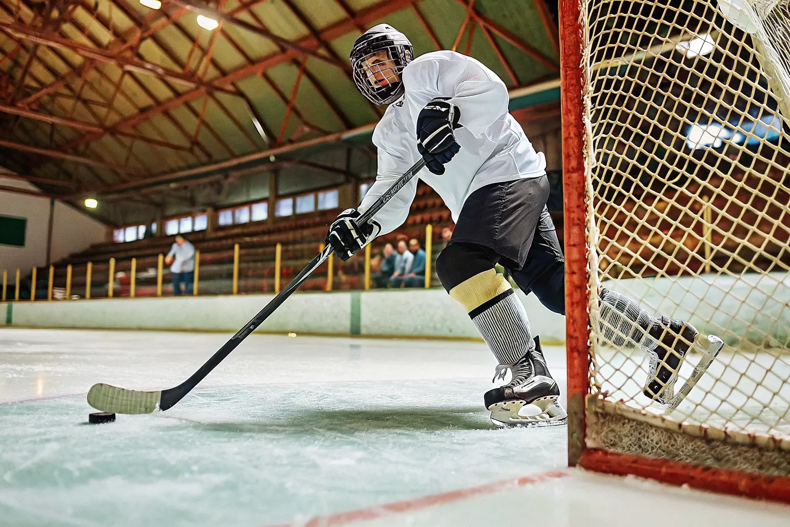 Hockey Copa del Mundo - Partido de hockey sobre hielo - Entradas disponibles